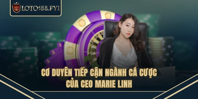 Cơ duyên tiếp cận ngành cá cược của CEO Marie Linh