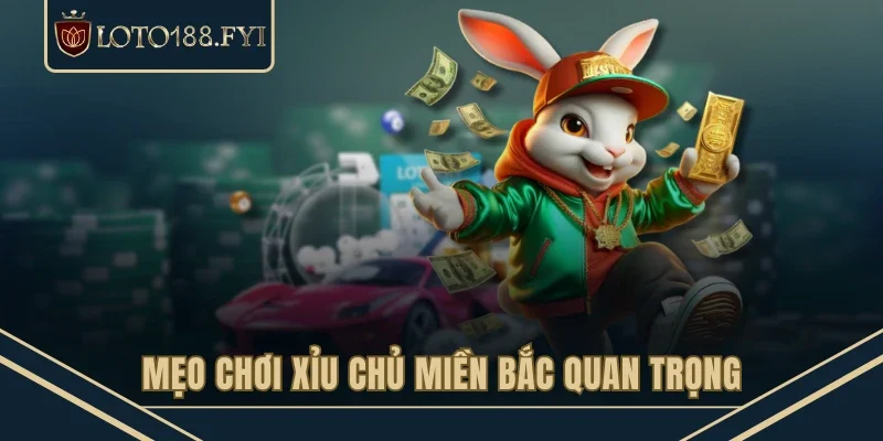 Mẹo chơi xỉu chủ miền Bắc quan trọng