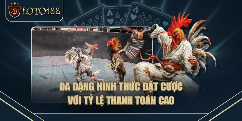 Đa dạng hình thức đặt cược với tỷ lệ thanh toán cao