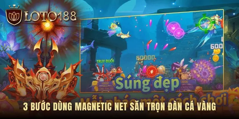 Quy trình ba bước dùng magnetic net săn trọn đàn cá vàng